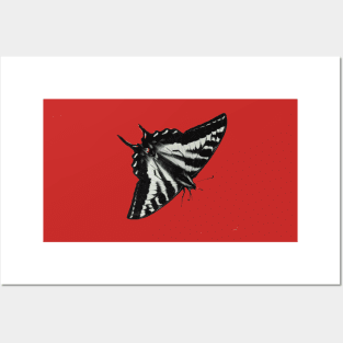 Pale Swallowtail - Freya's Hen Posters and Art